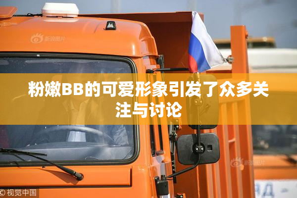 粉嫩BB的可爱形象引发了众多关注与讨论
