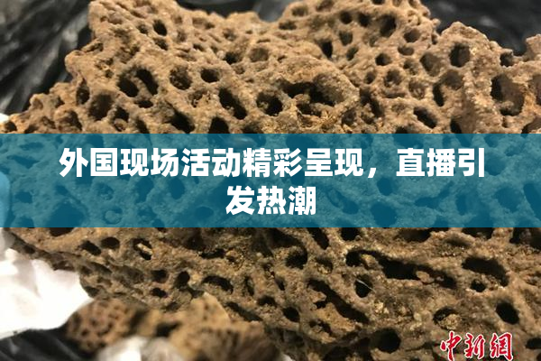 外国现场活动精彩呈现，直播引发热潮