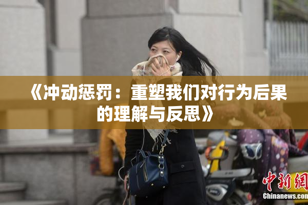 《冲动惩罚：重塑我们对行为后果的理解与反思》