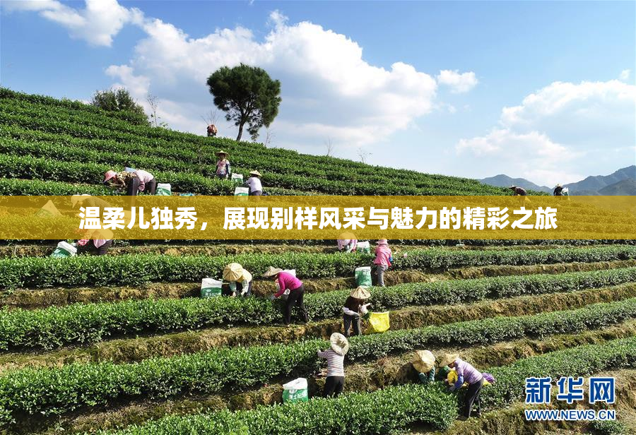 温柔儿独秀，展现别样风采与魅力的精彩之旅