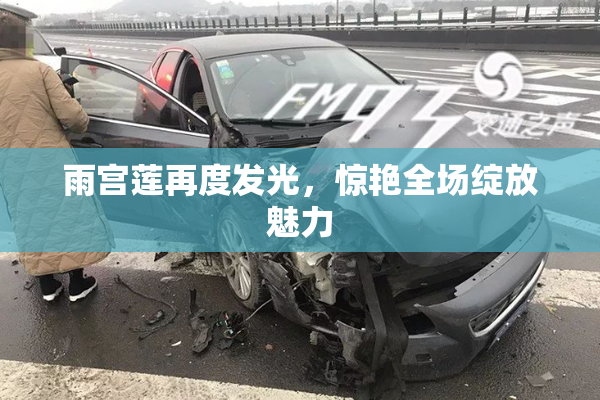 雨宫莲再度发光，惊艳全场绽放魅力