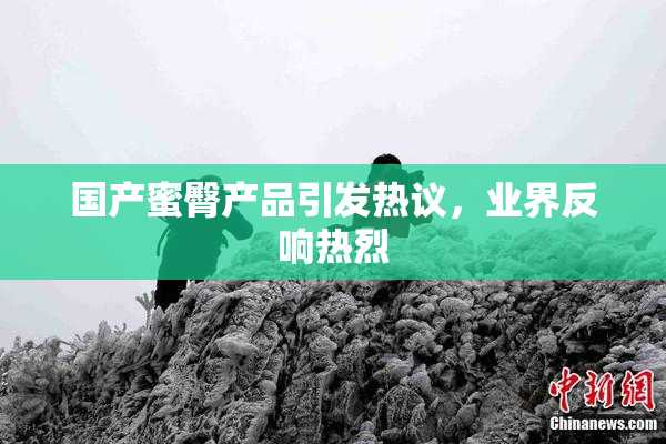 国产蜜臀产品引发热议，业界反响热烈