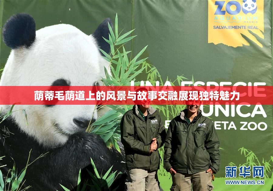 荫蒂毛荫道上的风景与故事交融展现独特魅力