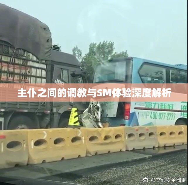 主仆之间的调教与SM体验深度解析