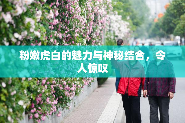 粉嫩虎白的魅力与神秘结合，令人惊叹
