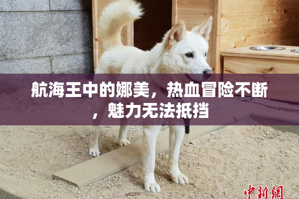 航海王中的娜美，热血冒险不断，魅力无法抵挡