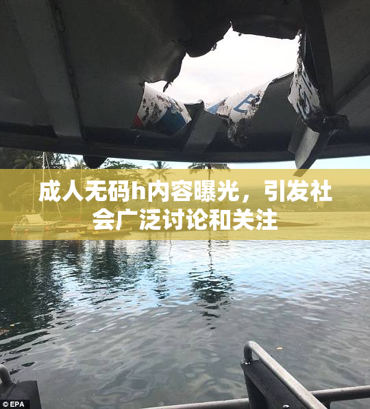 成人无码h内容曝光，引发社会广泛讨论和关注