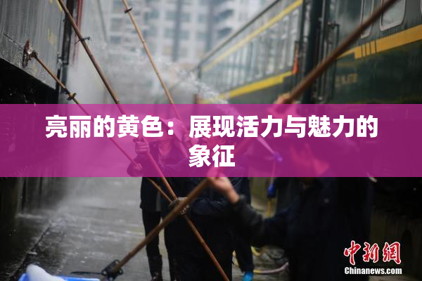 亮丽的黄色：展现活力与魅力的象征
