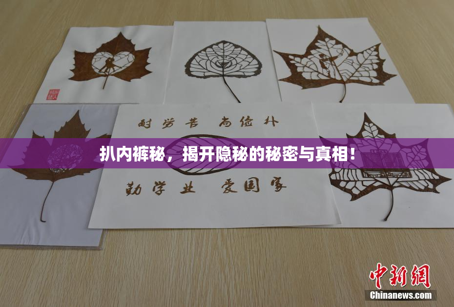 扒内裤秘，揭开隐秘的秘密与真相！