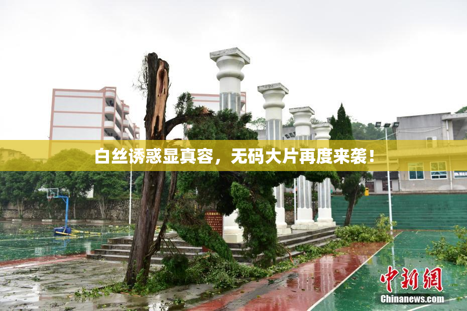 白丝诱惑显真容，无码大片再度来袭！