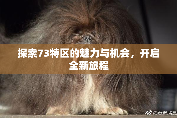 探索73特区的魅力与机会，开启全新旅程