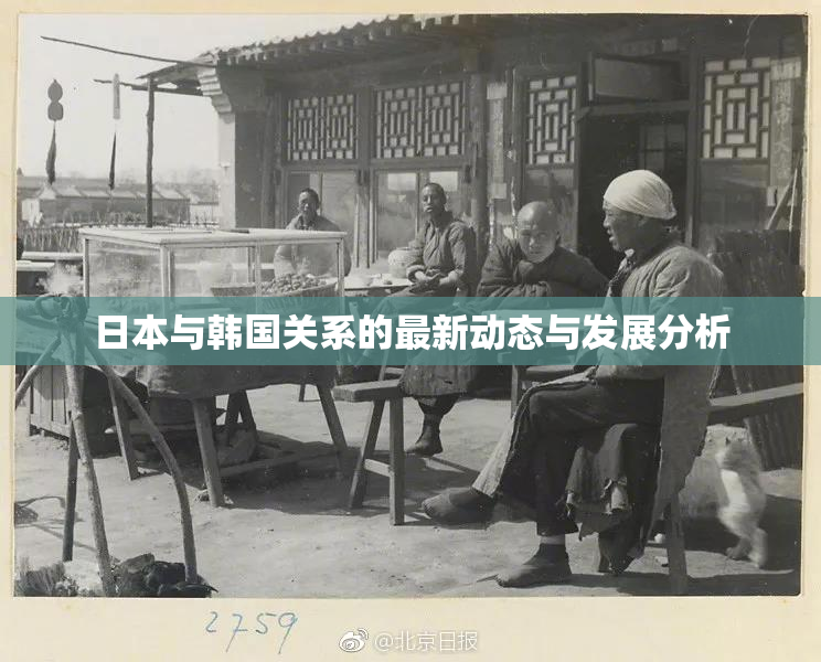 日本与韩国关系的最新动态与发展分析