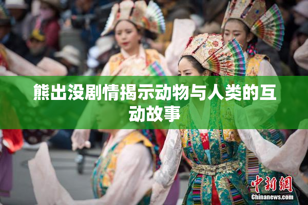熊出没剧情揭示动物与人类的互动故事