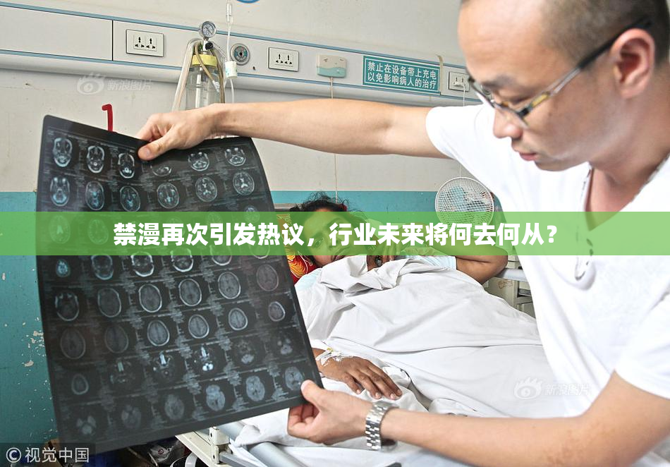禁漫再次引发热议，行业未来将何去何从？