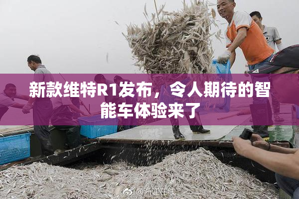 新款维特R1发布，令人期待的智能车体验来了
