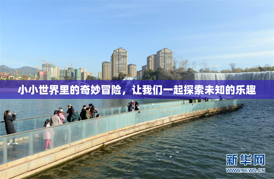 小小世界里的奇妙冒险，让我们一起探索未知的乐趣