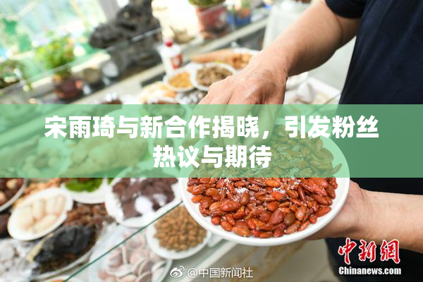 宋雨琦与新合作揭晓，引发粉丝热议与期待