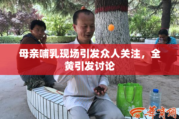 母亲哺乳现场引发众人关注，全黄引发讨论