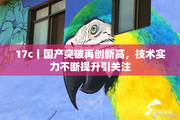17c丨国产突破再创新高，技术实力不断提升引关注