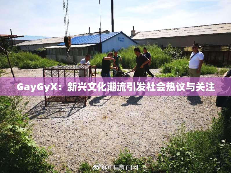 GayGyX：新兴文化潮流引发社会热议与关注
