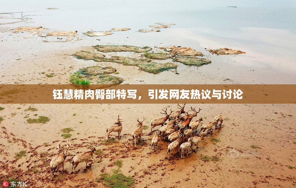 钰慧精肉臀部特写，引发网友热议与讨论