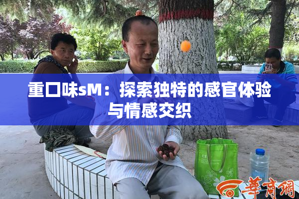 重囗味sM：探索独特的感官体验与情感交织