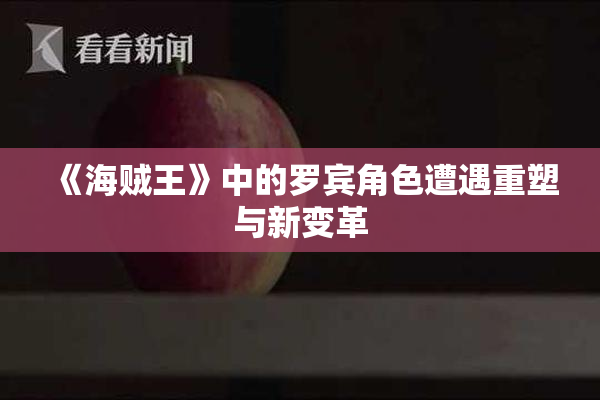 《海贼王》中的罗宾角色遭遇重塑与新变革