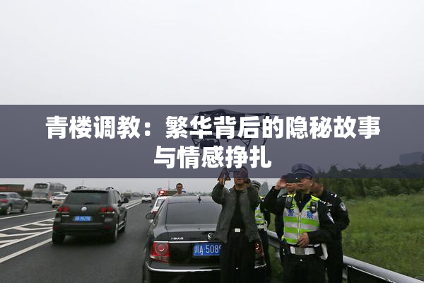 青楼调教：繁华背后的隐秘故事与情感挣扎