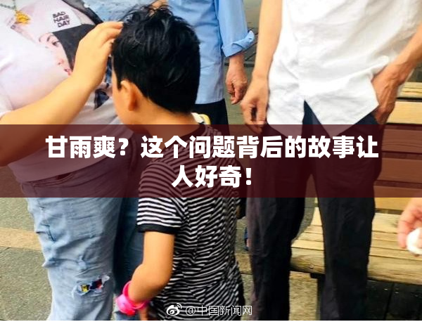 甘雨爽？这个问题背后的故事让人好奇！