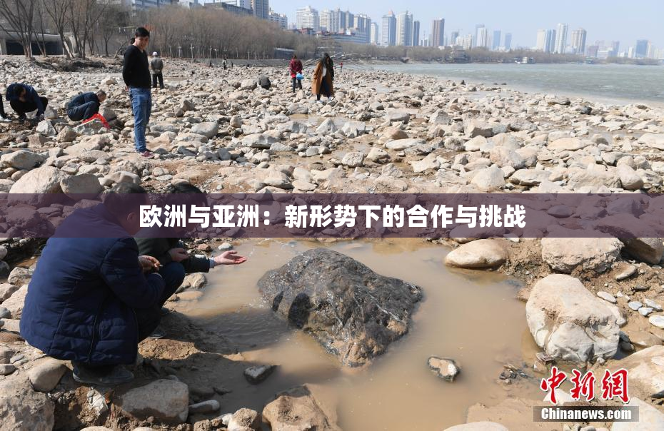 欧洲与亚洲：新形势下的合作与挑战