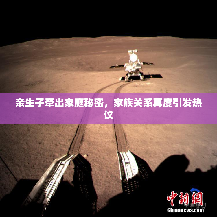 亲生子牵出家庭秘密，家族关系再度引发热议