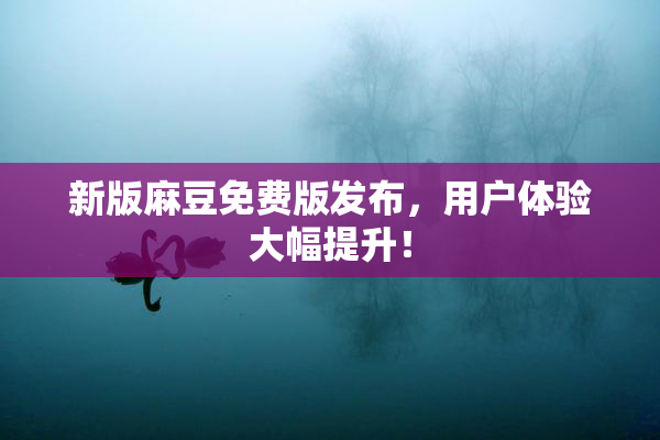 新版麻豆免费版发布，用户体验大幅提升！