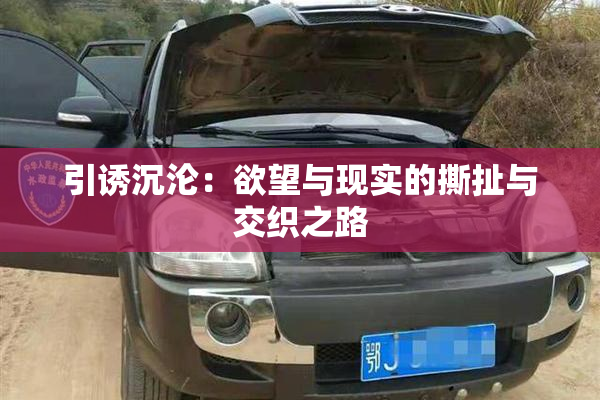 引诱沉沦：欲望与现实的撕扯与交织之路