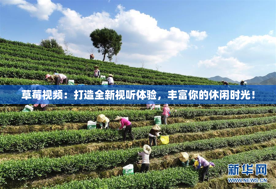 草莓视频：打造全新视听体验，丰富你的休闲时光！