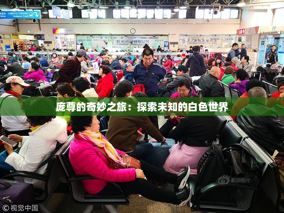 庞尊的奇妙之旅：探索未知的白色世界