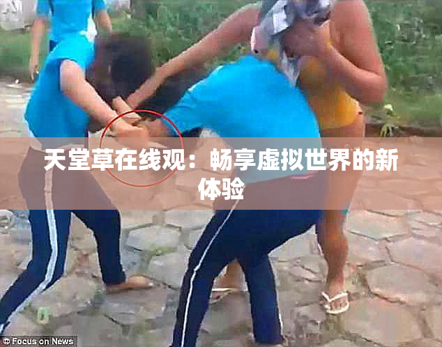天堂草在线观：畅享虚拟世界的新体验