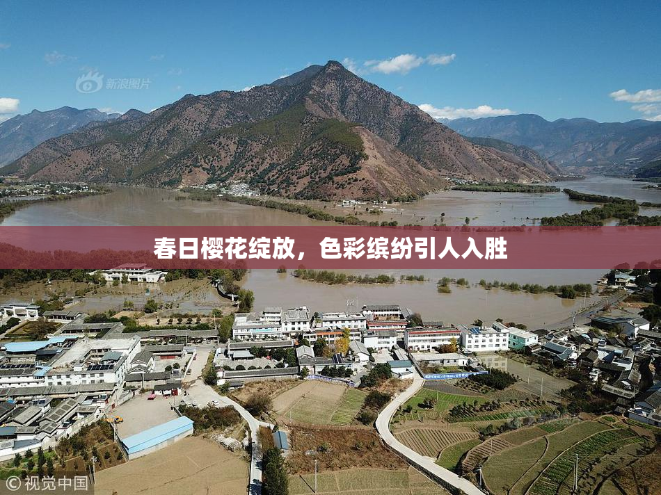 春日樱花绽放，色彩缤纷引人入胜