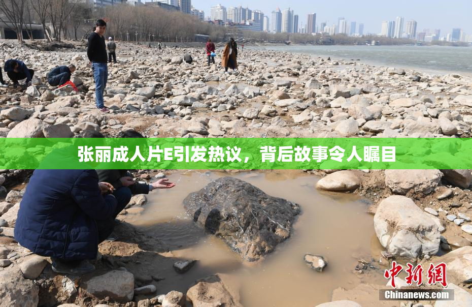 张丽成人片E引发热议，背后故事令人瞩目