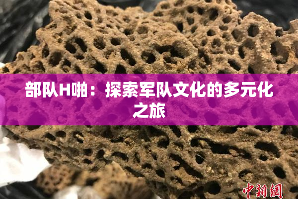 部队H啪：探索军队文化的多元化之旅