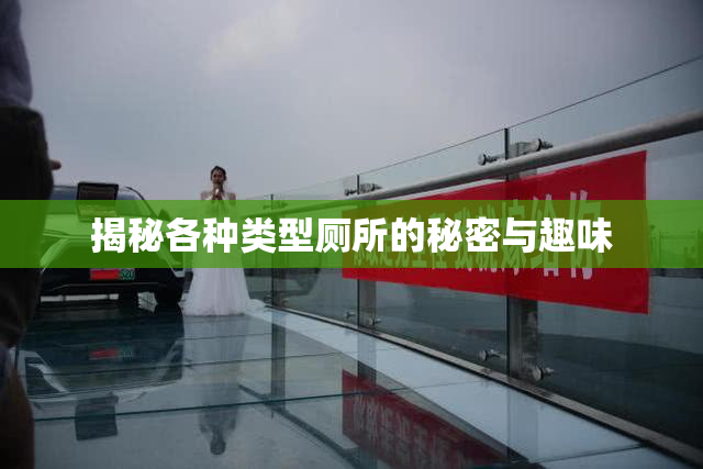 揭秘各种类型厕所的秘密与趣味