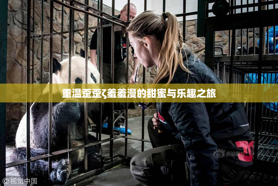 重温歪歪ζ羞羞漫的甜蜜与乐趣之旅