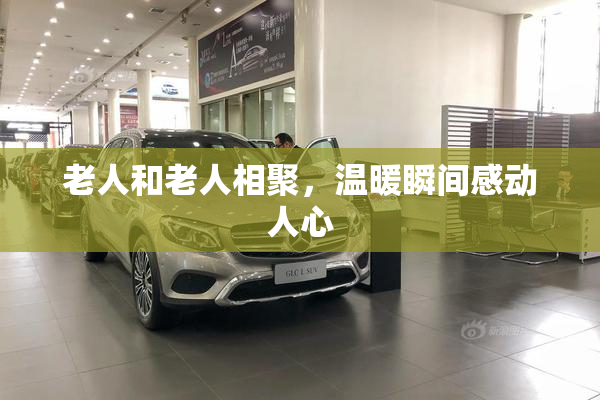 老人和老人相聚，温暖瞬间感动人心