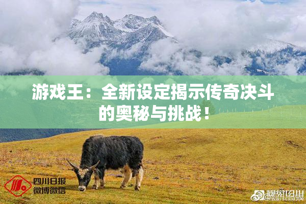 游戏王：全新设定揭示传奇决斗的奥秘与挑战！