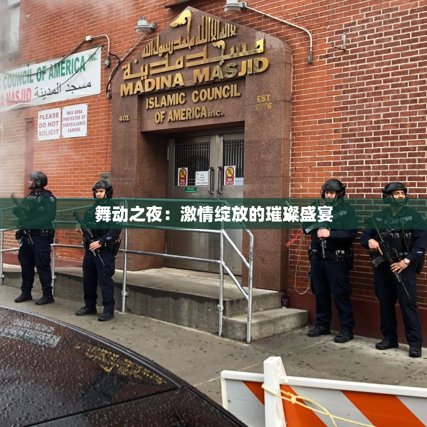 舞动之夜：激情绽放的璀璨盛宴