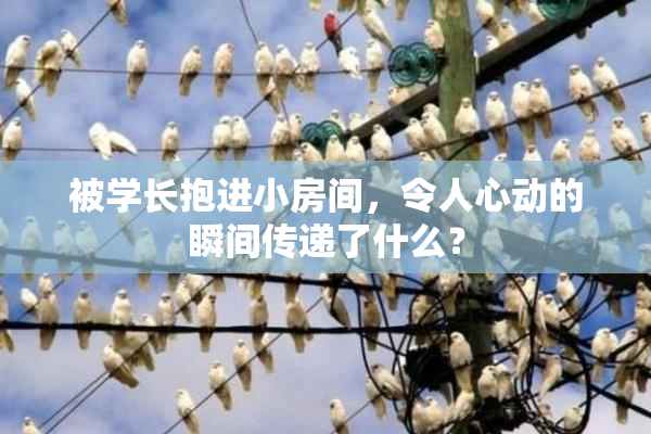 被学长抱进小房间，令人心动的瞬间传递了什么？