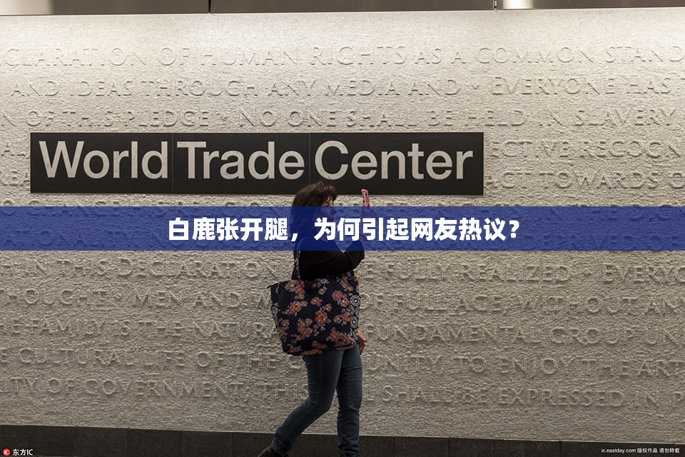 白鹿张开腿，为何引起网友热议？