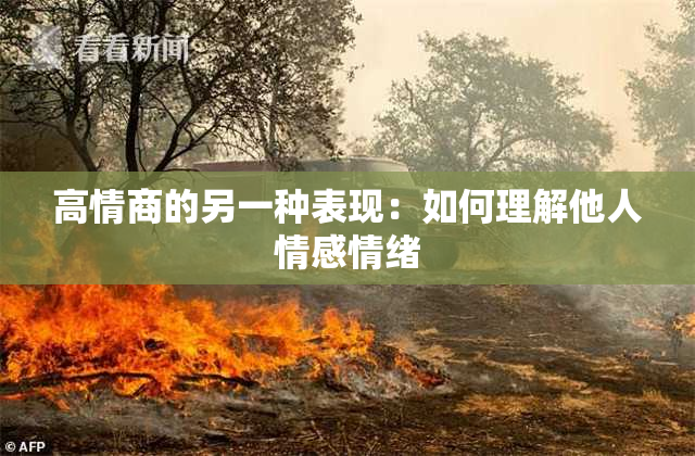 高情商的另一种表现：如何理解他人情感情绪