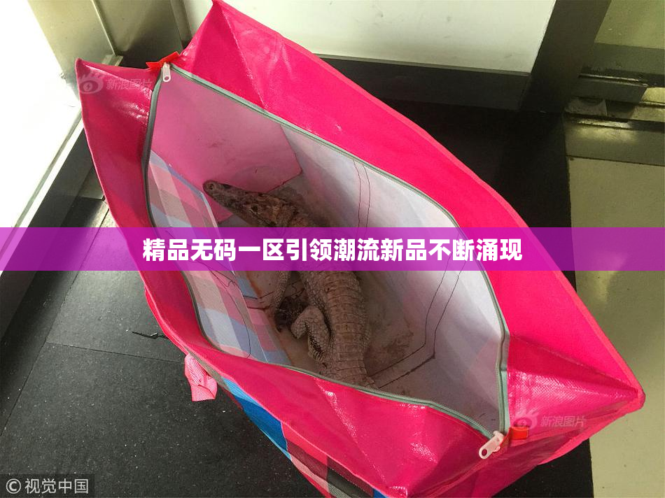 精品无码一区引领潮流新品不断涌现