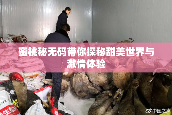 蜜桃秘无码带你探秘甜美世界与激情体验