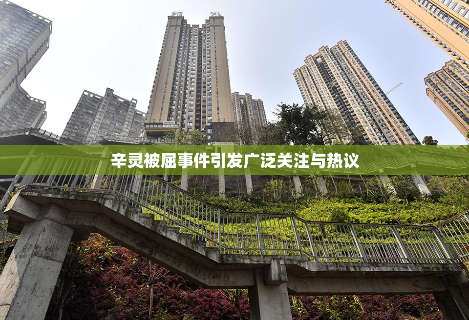辛灵被屈事件引发广泛关注与热议